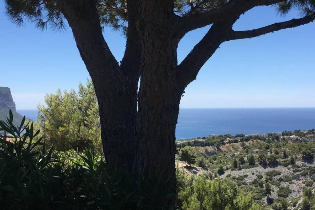 Magnifique Studio Cassis Bagian luar foto