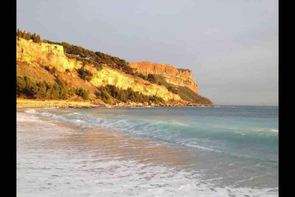 Magnifique Studio Cassis Bagian luar foto